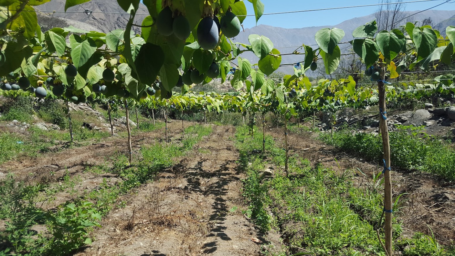 Interior view of a cozy living room with sunlight